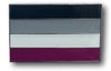 Asexual Flag Lapel Pin 1" - Updated Silver