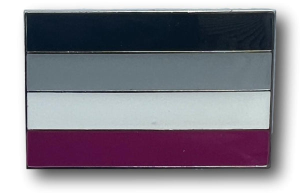 Asexual Flag Lapel Pin 1" - Updated Silver