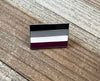 Asexual Flag Lapel Pin 1" - Updated Silver