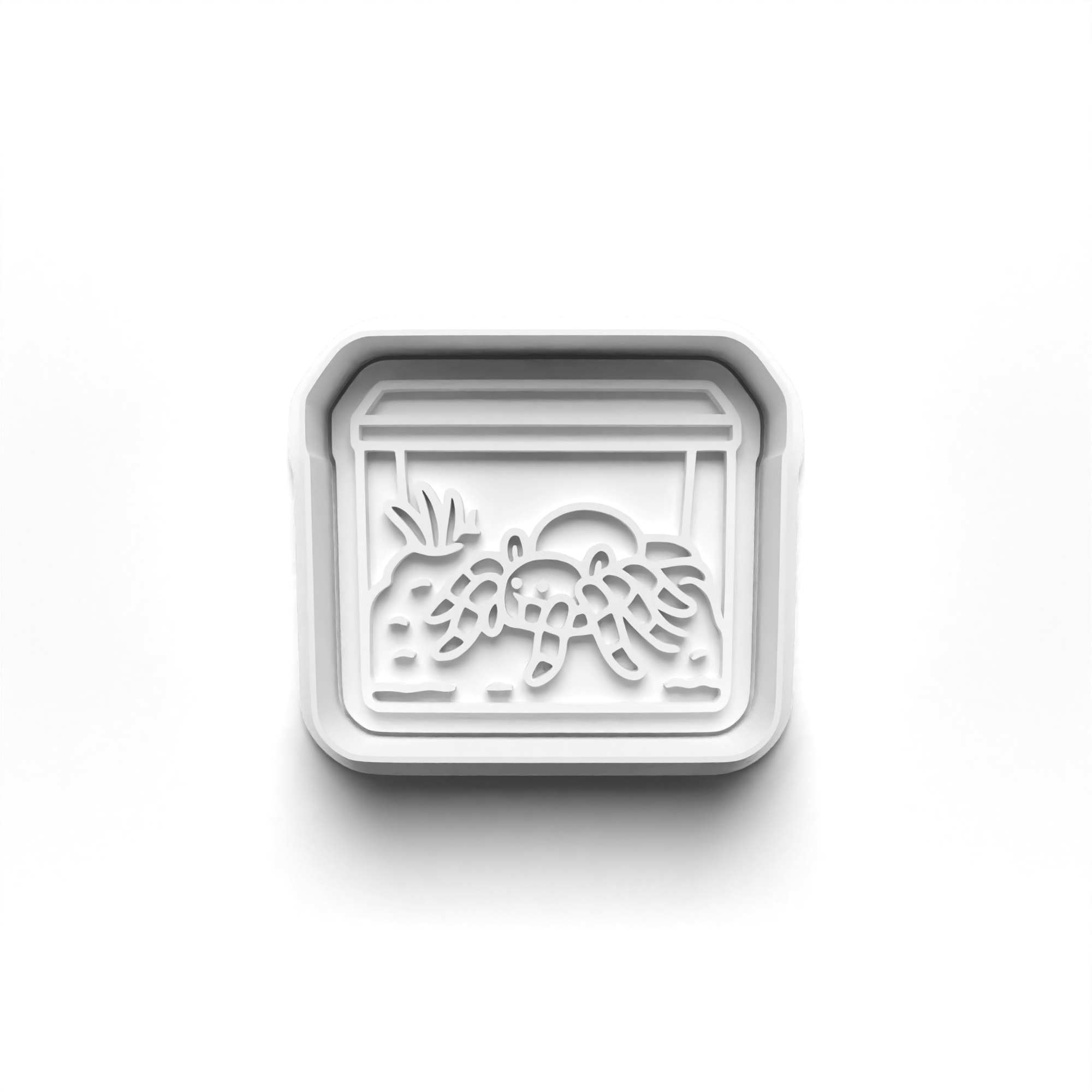 Tarantula Theme Cookie Cutters Set + Stamps for Baking, Cookies, Crafts 1111