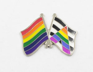 Ally x Rainbow Pride Flags Lapel Pin - Magnetic Backing