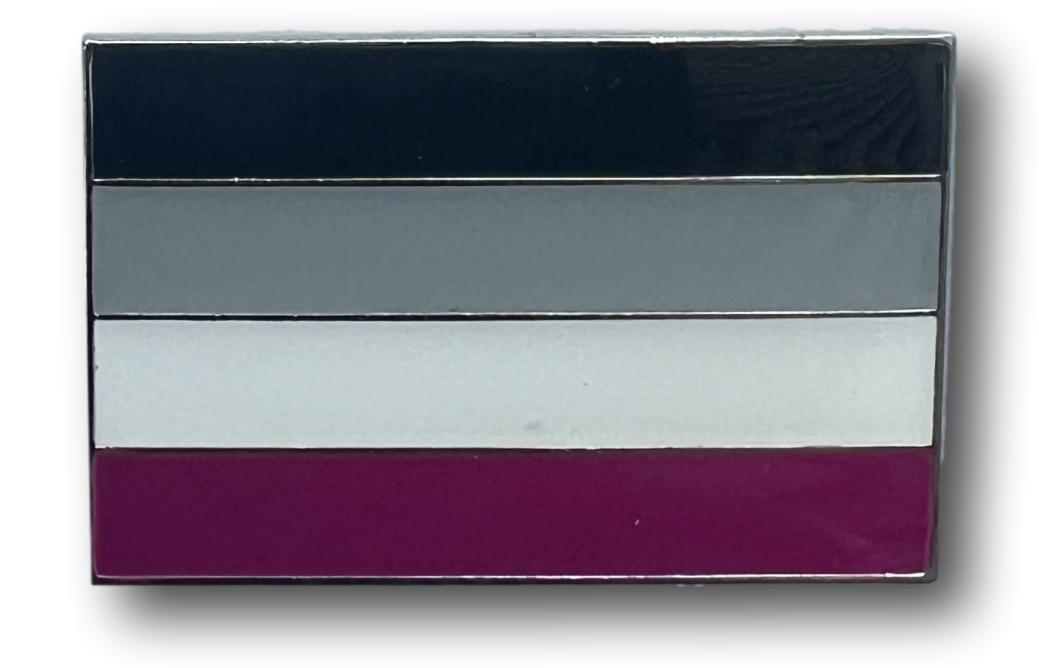 Asexual Flag Magnetic Pin 1