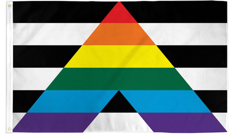 Ally LGBTQ 2' x 3' Waterproof Poly Flag