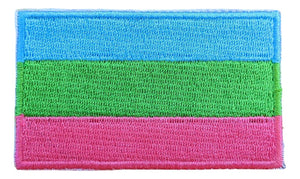 Polysexual Flag Iron On Patch 2.5" x 1.5"