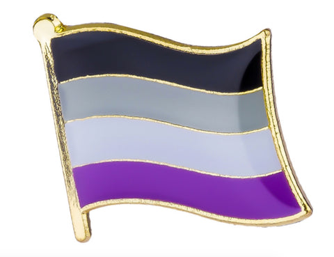 Asexual Flag Lapel Pin 3/4" x 5/8