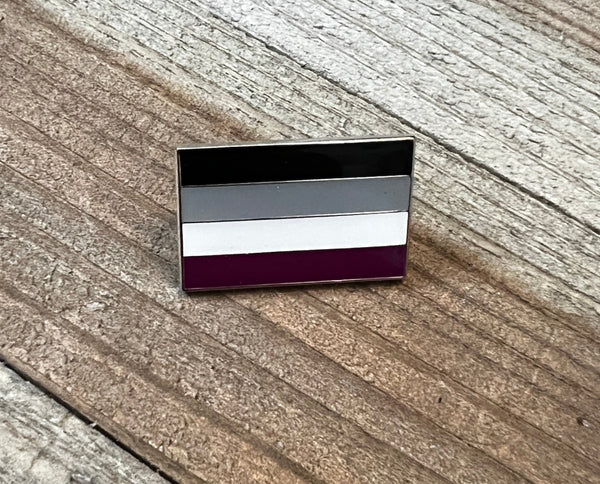 Asexual Flag Lapel Pin 1" - Updated Silver