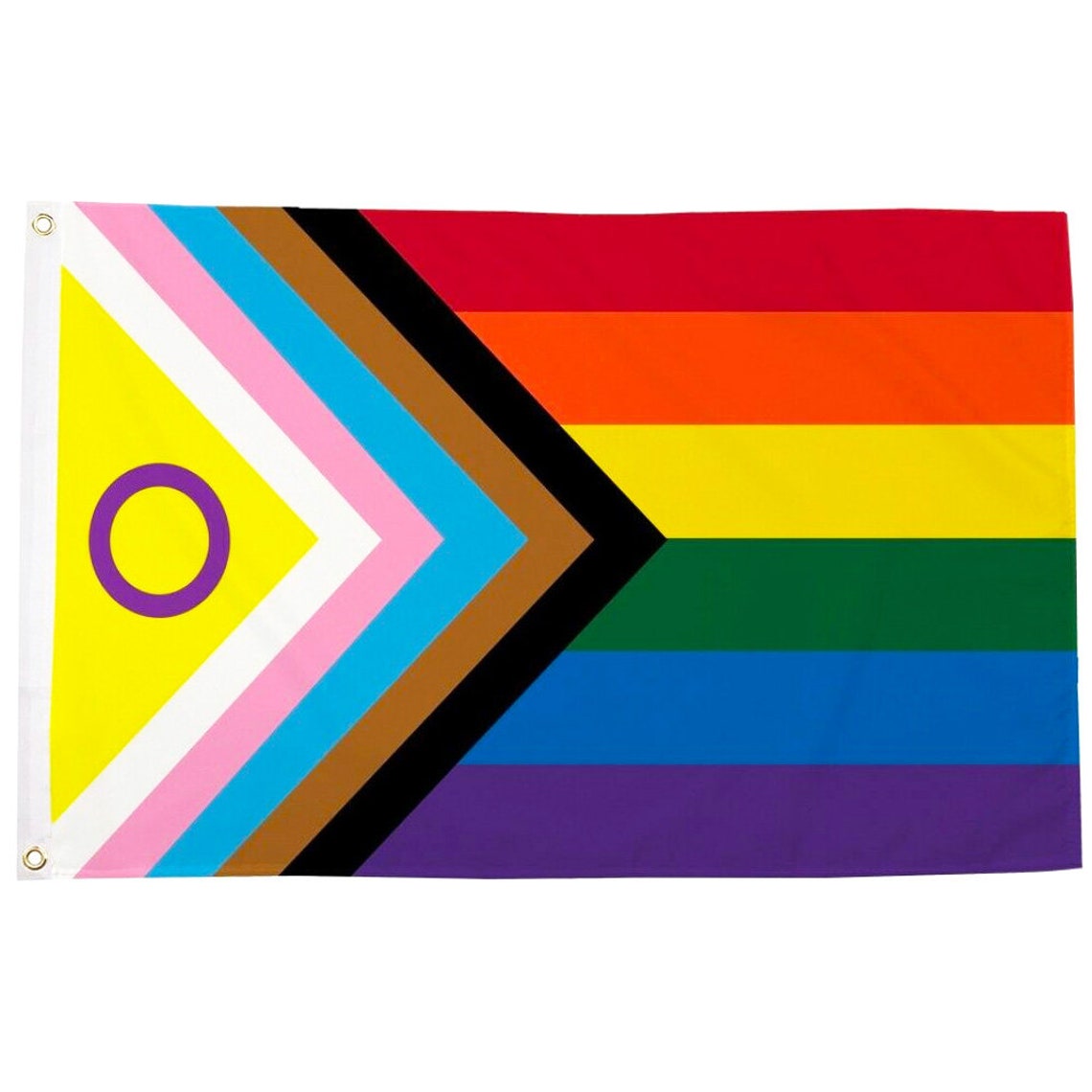 Intersex Inclusive Progress Pride Wall Flag 2 x 3 ft Poly