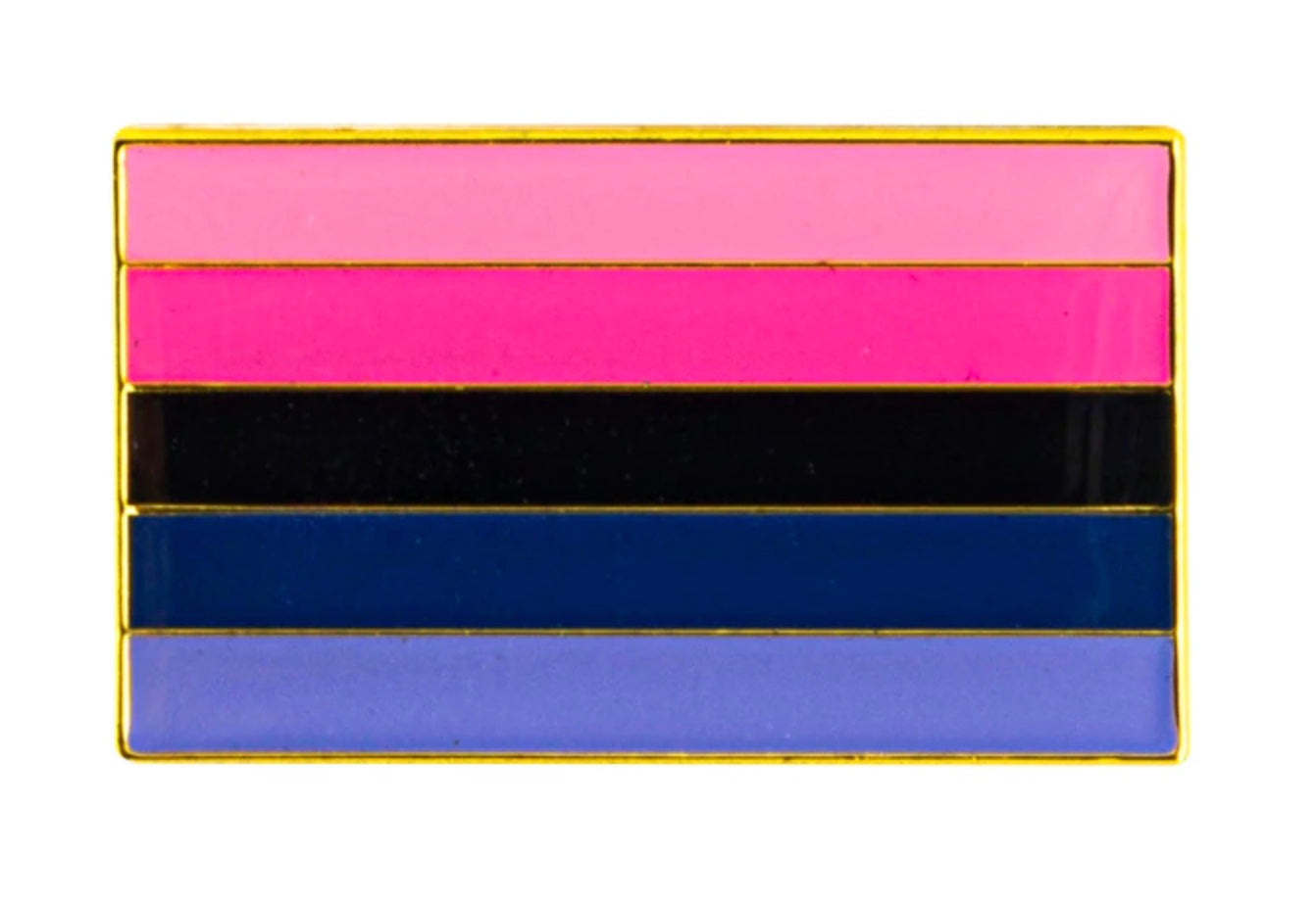 Omnisexual Flag Lapel Pin 1