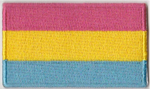 Pansexual Flag Iron On Patch 2.5" x 1.5"